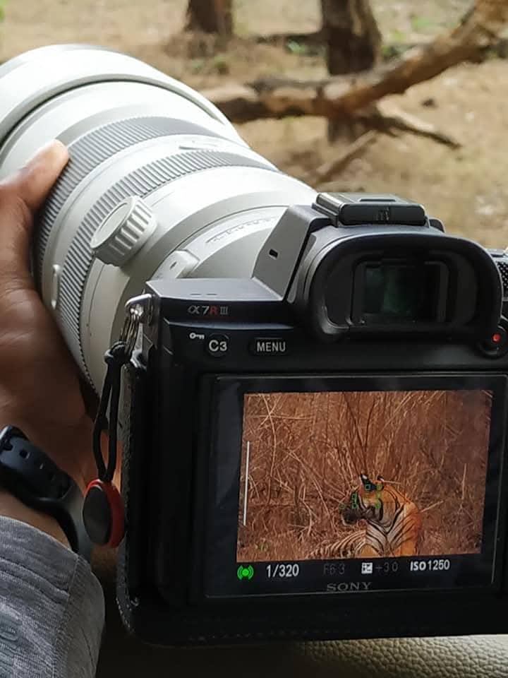 bandipur tiger reserve